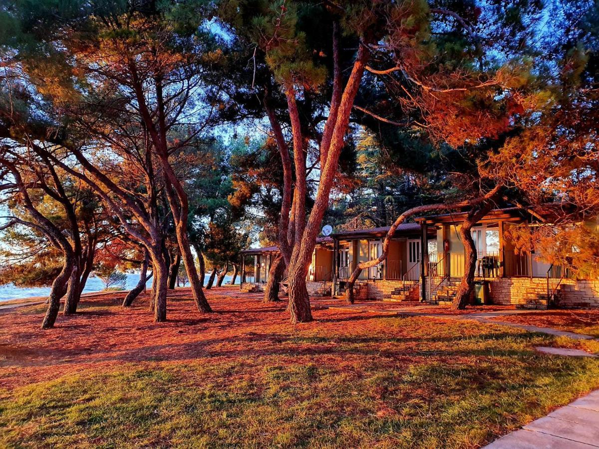 Family Bungalow Pineta Novigrad Istria Exterior foto